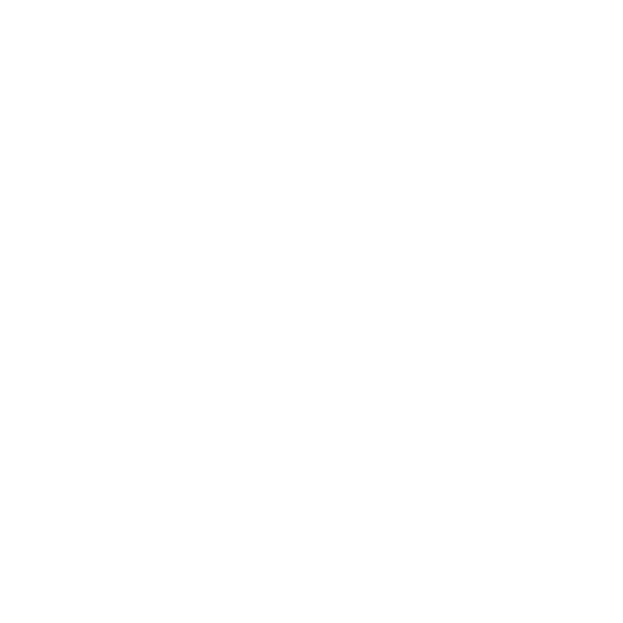 Cloud Backup Icon Weiss