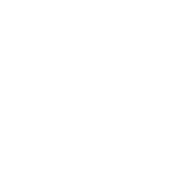 Cyber Security Icon Weiss