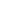 Webshop Icon