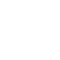 Cyber Security Icon Weiss