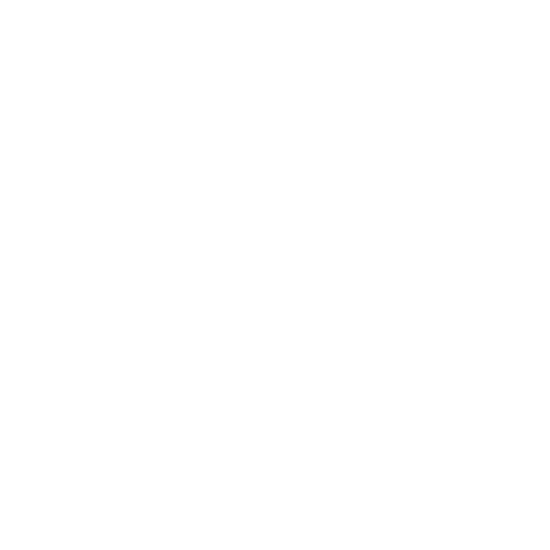Computer Icon Weiss