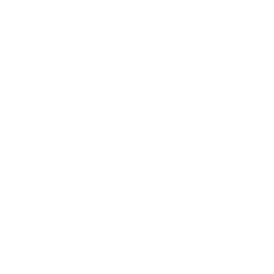 Netzwerk Icon
